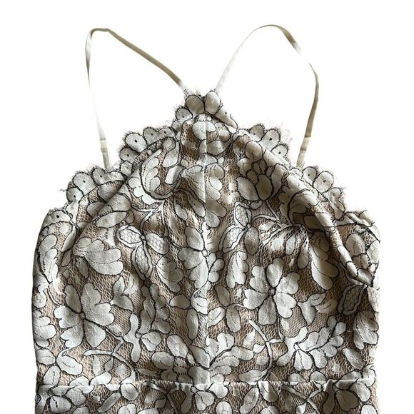 Lulu’s | Delicate Darling Beige and Ivory Lace Bodycon Dress - Picture 5 of 9